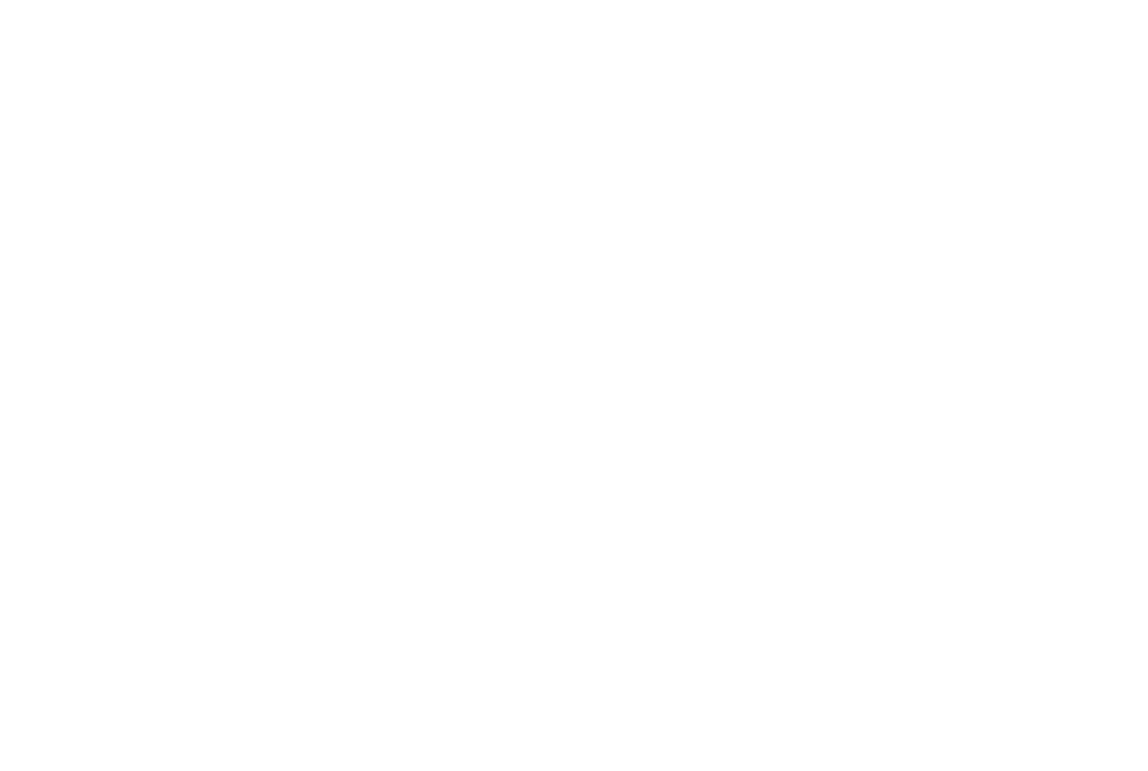 War Bear Studios